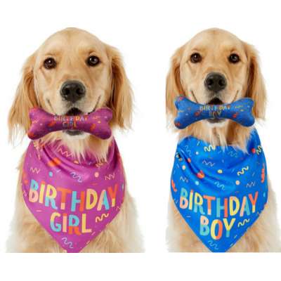 Triangle Bibs Scarf dog birthday bandana